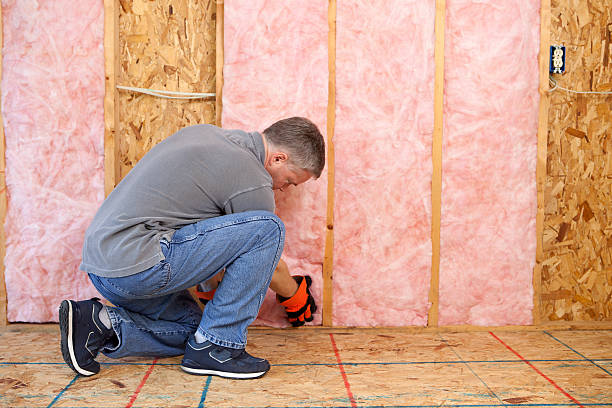 Best Specialty Insulation in Mclendon Chisholm, TX